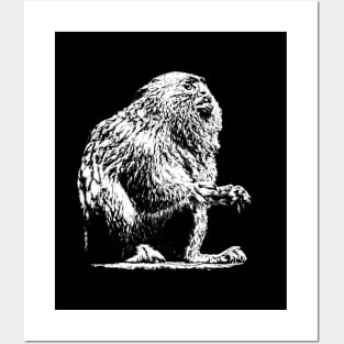 Marmoset Posters and Art